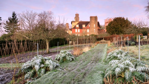 The Kitchen Garden covered in frost